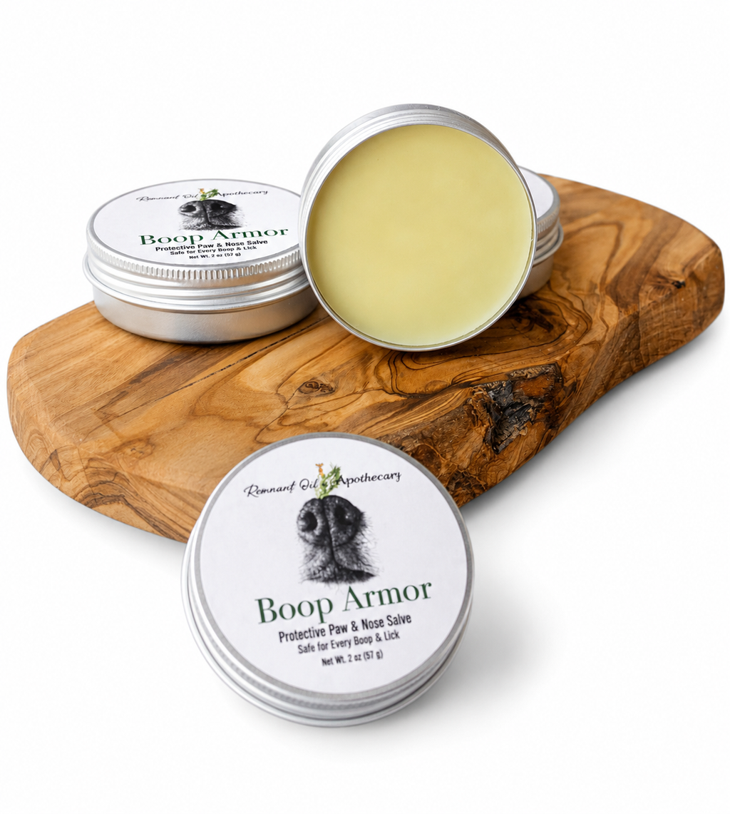 Boop Armor Paw & Nose Balm | Natural Pet Salve for Dry Skin, Cracked Paws & Sensitive Noses