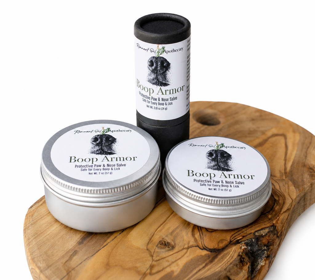 Boop Armor Paw & Nose Balm | Natural Pet Salve for Dry Skin, Cracked Paws & Sensitive Noses
