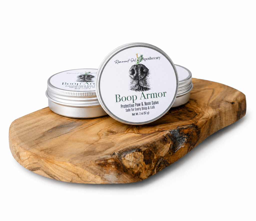 Boop Armor Paw & Nose Balm | Natural Pet Salve for Dry Skin, Cracked Paws & Sensitive Noses