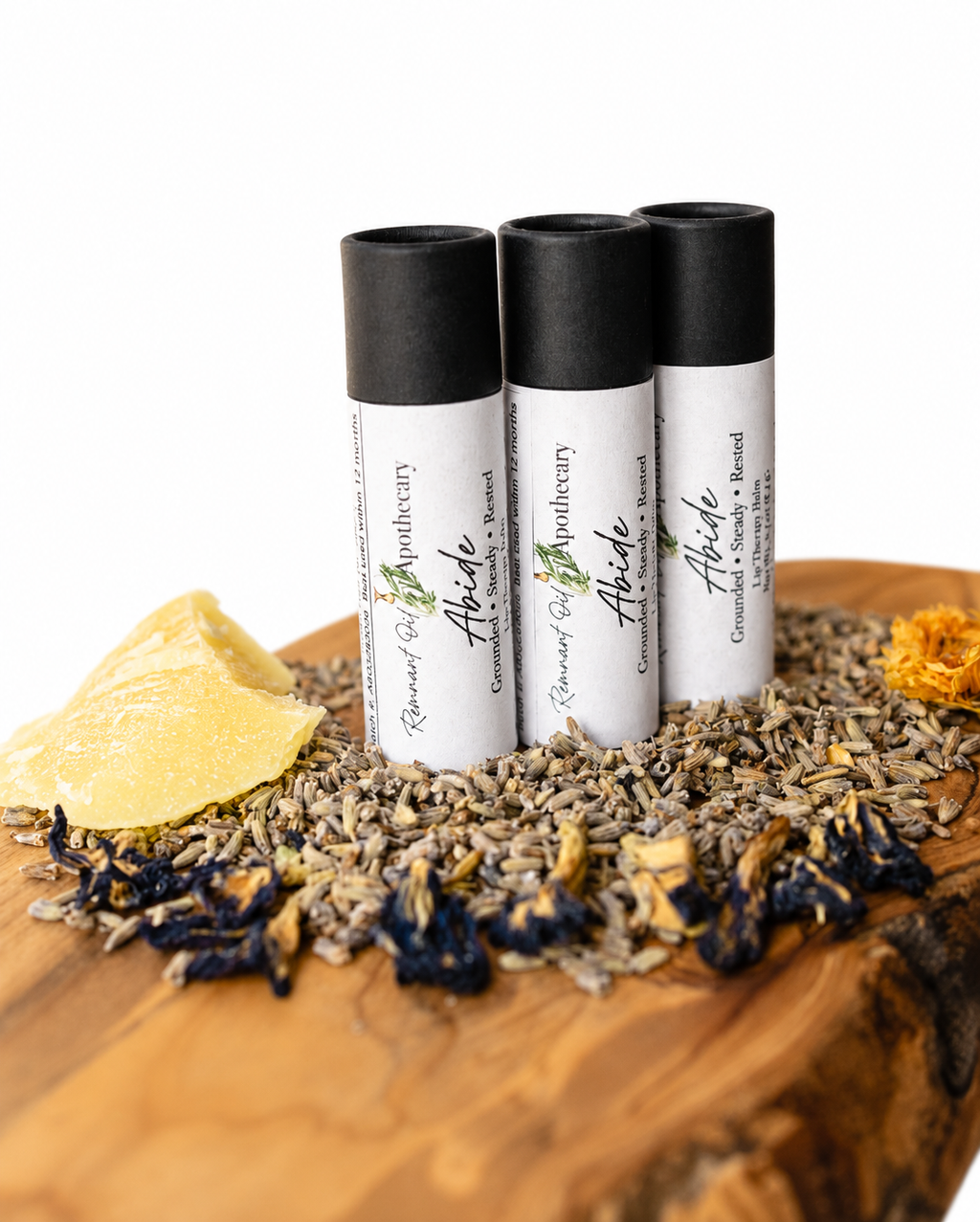 Abide Lip Balm | Lemon Balm + Echinacea Herbal Lip Care