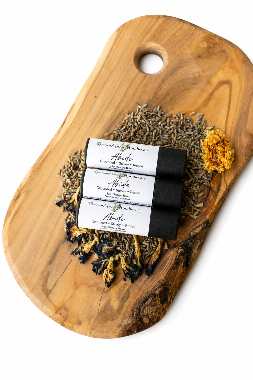 Abide Lip Balm | Lemon Balm + Echinacea Herbal Lip Care